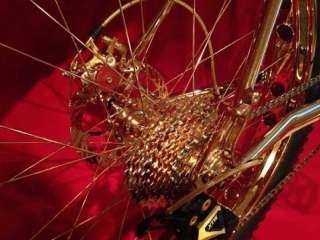 yanukovych found a golden bicycle